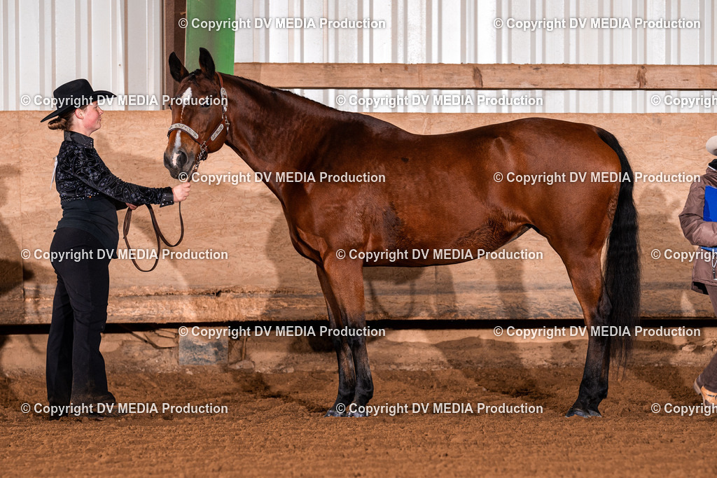 Balingen Tag 1-1391 | dv-media-shop - Realisiert mit Pictrs.com