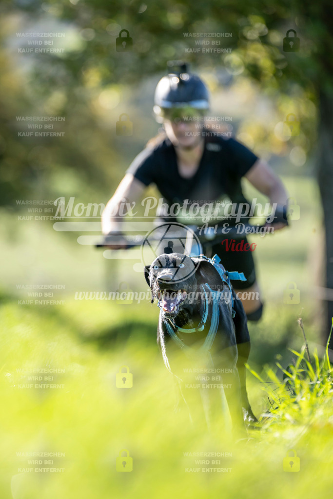 MompixPhotography_20TSB_E3_DS1-9 | PayLife