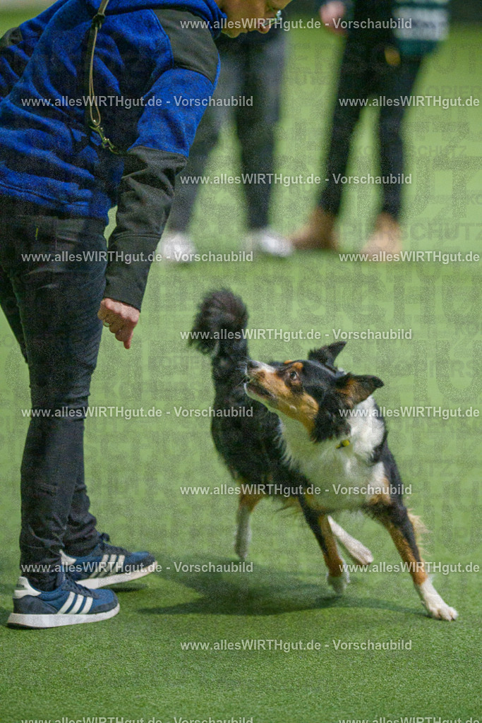 7R508137 | Professionelle Tierfotografie in Mönchengladbach von Daniel Wirth (allesWIRTHgut). Liebevolle & natürliche Bilder von Hunden & Katzen für unvergessliche Erinnerungen.