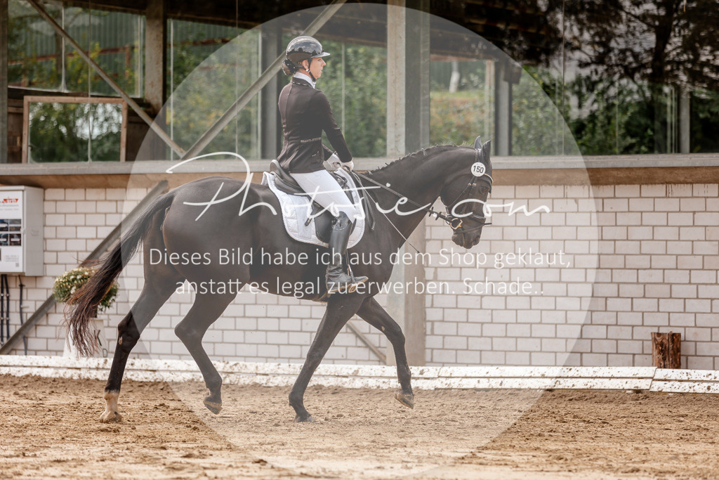 3I6A7173 | Stimmungsvolle Portraits und Reitsportfotografie im Ruhrgebiet und im Münsterland.

Pferdefotografie, Hundefotografie, Tierfotografie, Reportagen, Portraits von Tier und Mensch, Turnierfotografie in Bochum, Recklinghausen, Marl, Haltern am See, Dülmen.. - Realisiert mit Pictrs.com