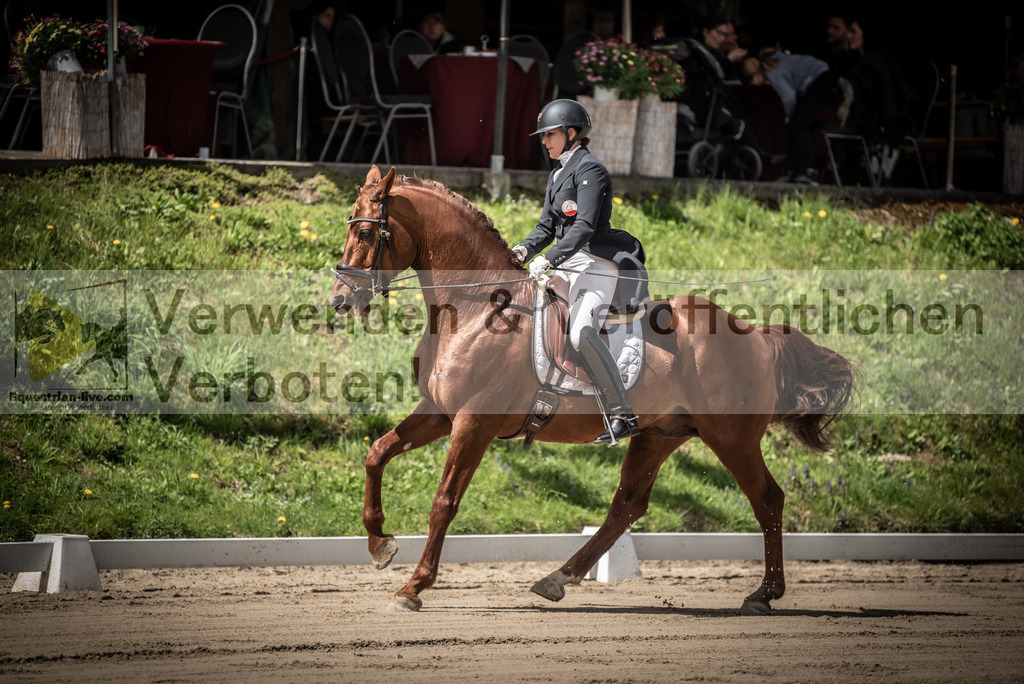 DSC_1577 | equestrian-live-com