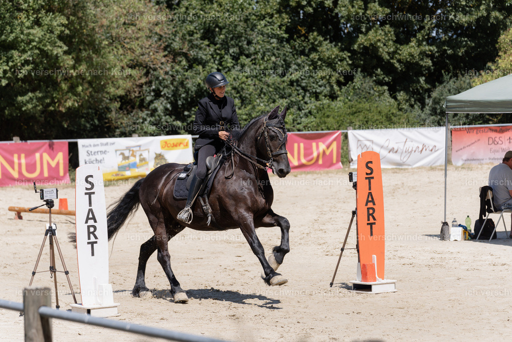WM_SP_132_SinaFilmArt_IN06907 | working equitationturnier fotograf videograf stoibphotography marixx film working equitation deutschland reitsport turnierfotografie eventfotografie equestrian events