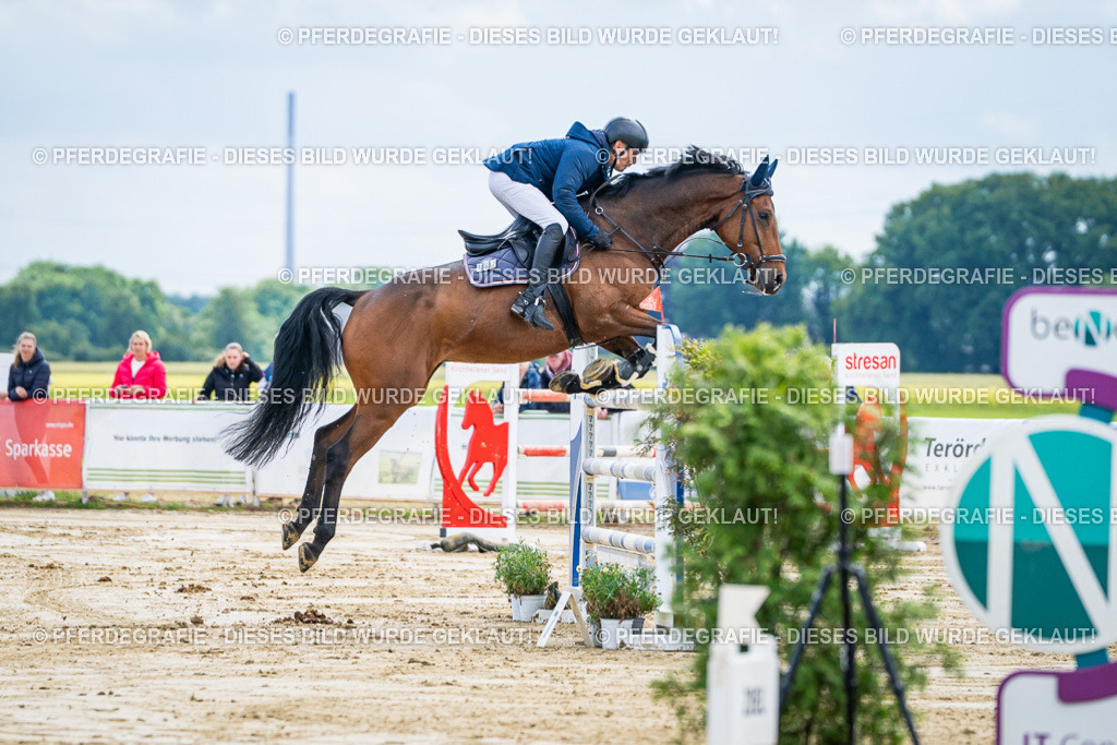 DSC05279 | Pferdegrafie