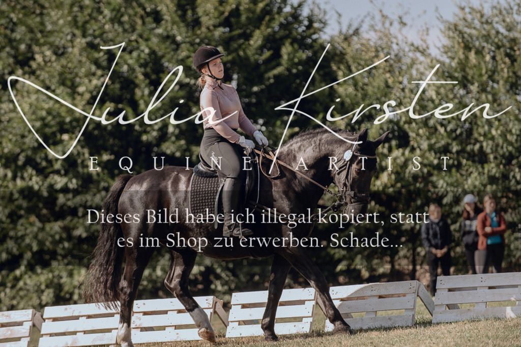 DSC_7074 | Pferde- und Turnierfotografie in Westsachsen. Pferdeportraits, Auftragszeichnungen und intuitive Kunst.