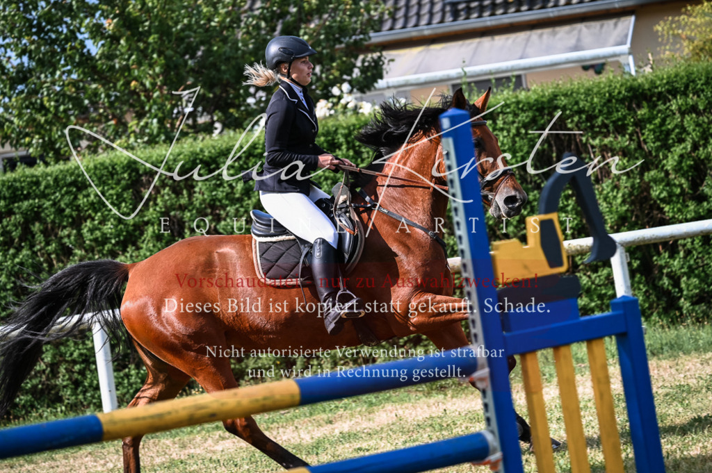 DSC_7815 | Pferde- und Turnierfotografie in Westsachsen. Pferdeportraits, Auftragszeichnungen und intuitive Kunst.