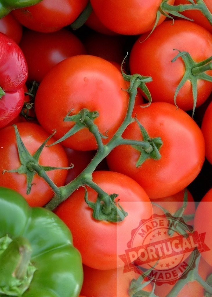 Fresh organic vine ripening tomatoes with green peppers | Ripe red tomatoes on the vine with green and red peppers creating a colorful produce display - Realized with Pictrs.com