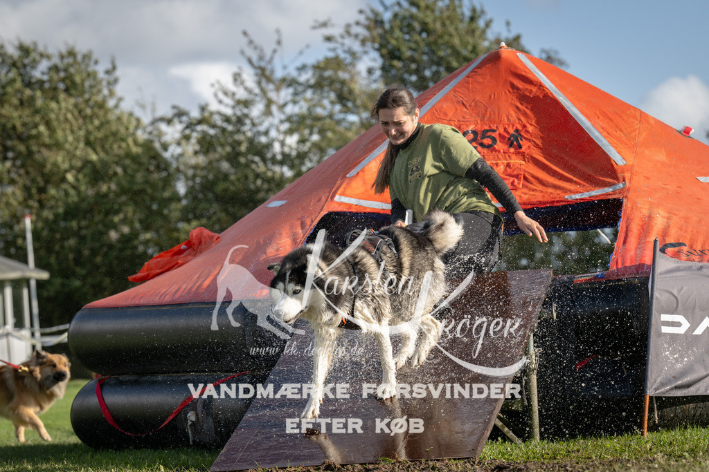 1407-93736 | kk-dogfotos