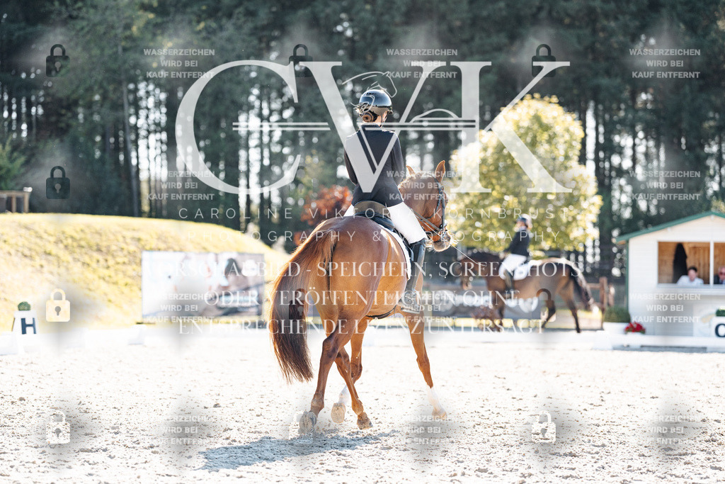 CK906005 | Turnierfotografie Pferdefotografie Trier Rheinland-Pfalz Pferdesport Reitsport Tierfotografie Sportfotografie Pferdevideo Pferdevideografie Equestrianvideography equestrianphotography  - Realisiert mit Pictrs.com