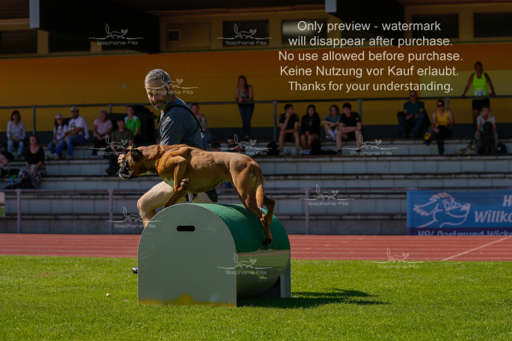Sonntag_VK Hindernis (258 von 671) | stephaniefillaphotographie - Realisiert mit Pictrs.com