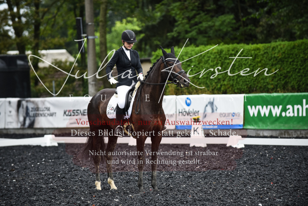 DSC_3000 | Pferde- und Turnierfotografie in Westsachsen. Pferdeportraits, Auftragszeichnungen und intuitive Kunst.
