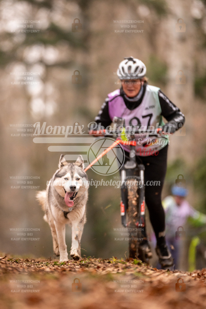 AKM_ST_2023_SAM_Scooter-94 | PayLife