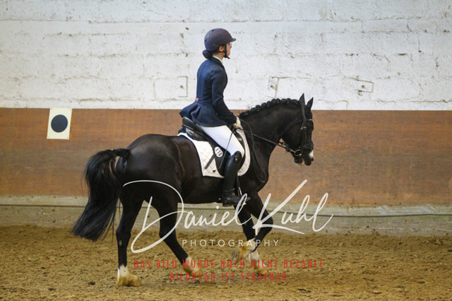 DKP44255 | Turniersportfotografie; Pferdefotografie; Dressurfotografie