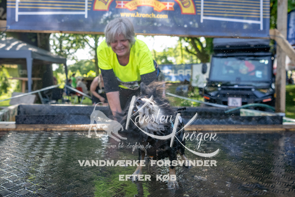 1539_ZZ92337 | kk-dogfotos