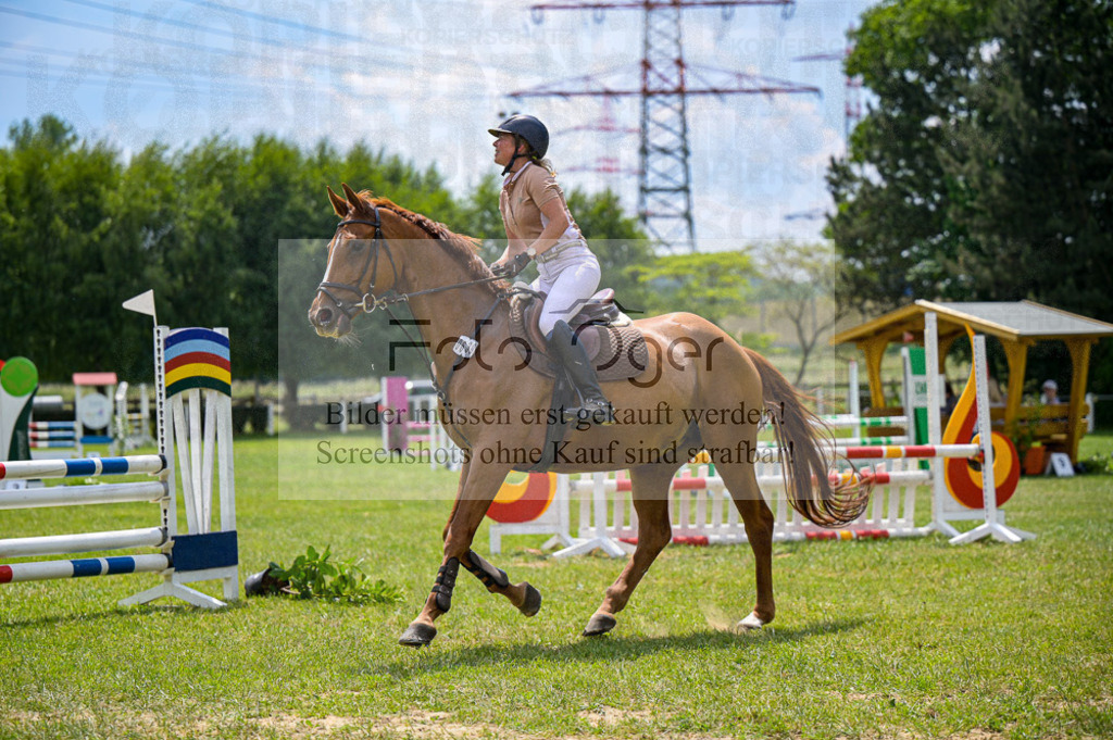 Reitturnier Voxtrup | Entdecke hochwertige Reitturnierfotos von Foto Oger. Professionell, emotional und authentisch – jetzt Lieblingsmomente im Shop bestellen. - Realisiert mit Pictrs.com