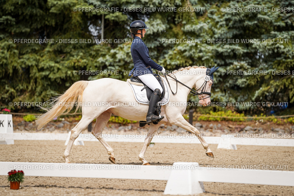 DSC04273 | Pferdegrafie