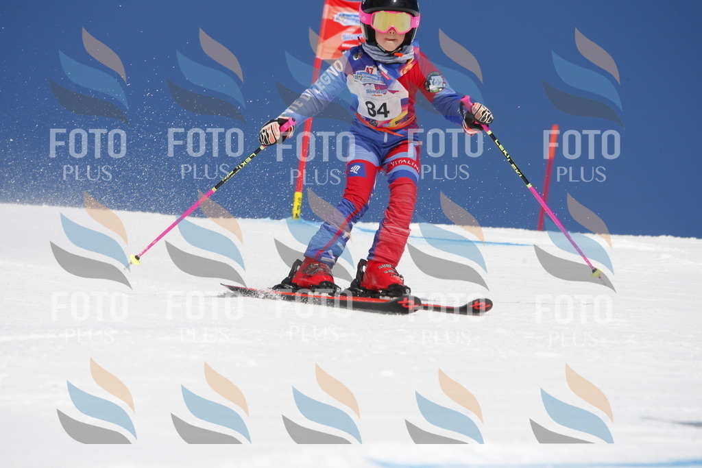 _W1G1228 | holidayphoto