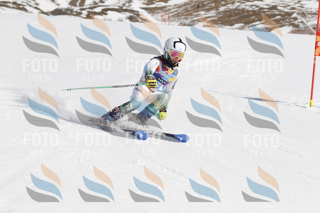 _U3G9659 | holidayphoto