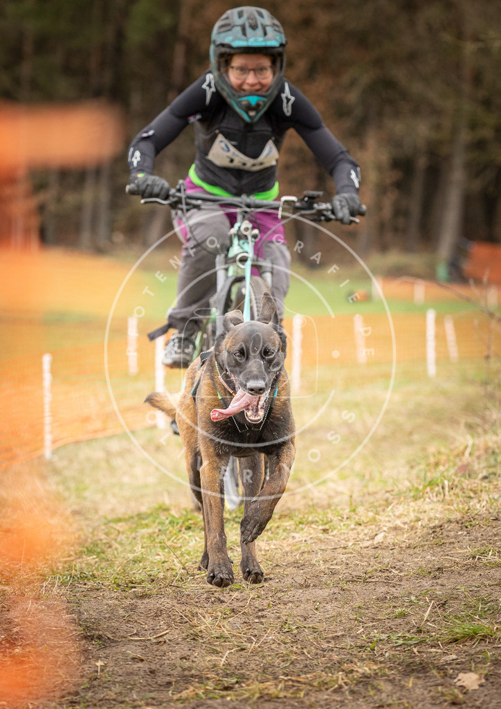 DV3A1009 | Hundefotografie, Tierfotograf, Pfotenfotografie, Fotoshooting Hund, Hunde Portrait, Hundesport, Hundeportraits, Heideshooting, Hunde, Sportfotograf, Hundefotograf, Turnierhundsport, THS,  - Realisiert mit Pictrs.com