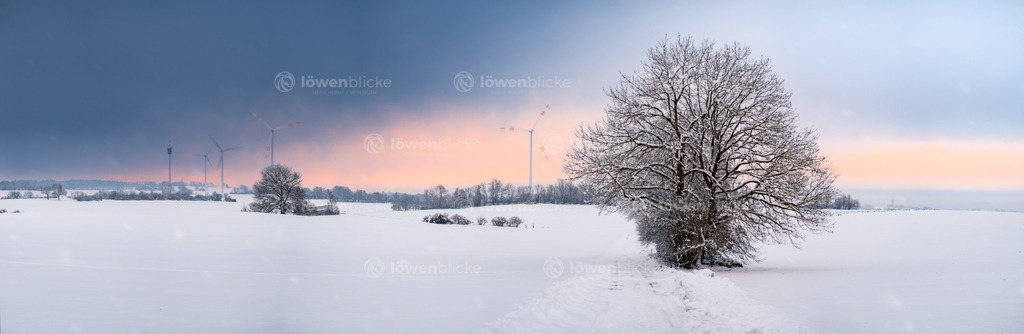 Panorama bei Aufhausen mit Funkturm | löwenblicke | shop