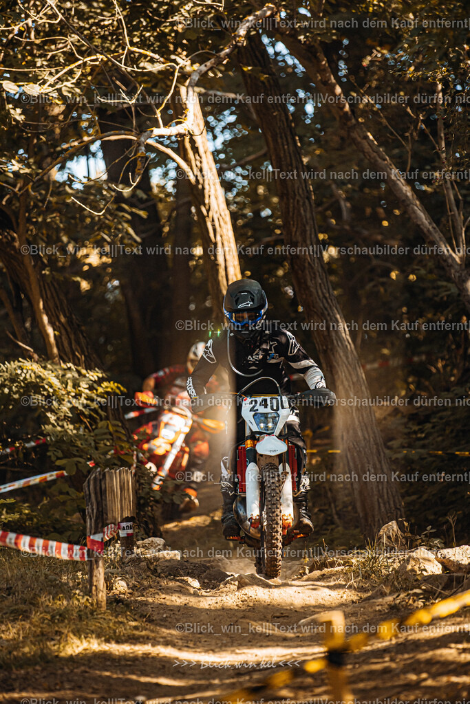 E68A5622 | blick_win_kel