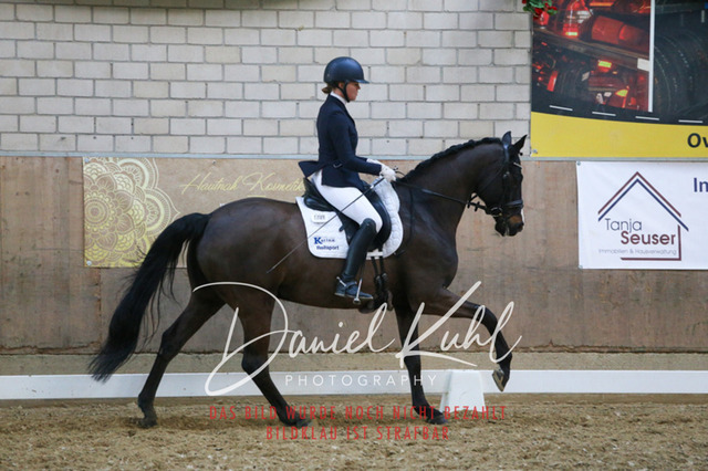 IMG_2683 | Turnierfotos kaufen im Webshop von Daniel Kuhl Photography – entdecke professionelle Reitsportfotos aus Turnieren & Events. Hochwertige Turnierbilder online bestellen & sichern. Jetzt Fotos von Reitsportturnieren kaufen!