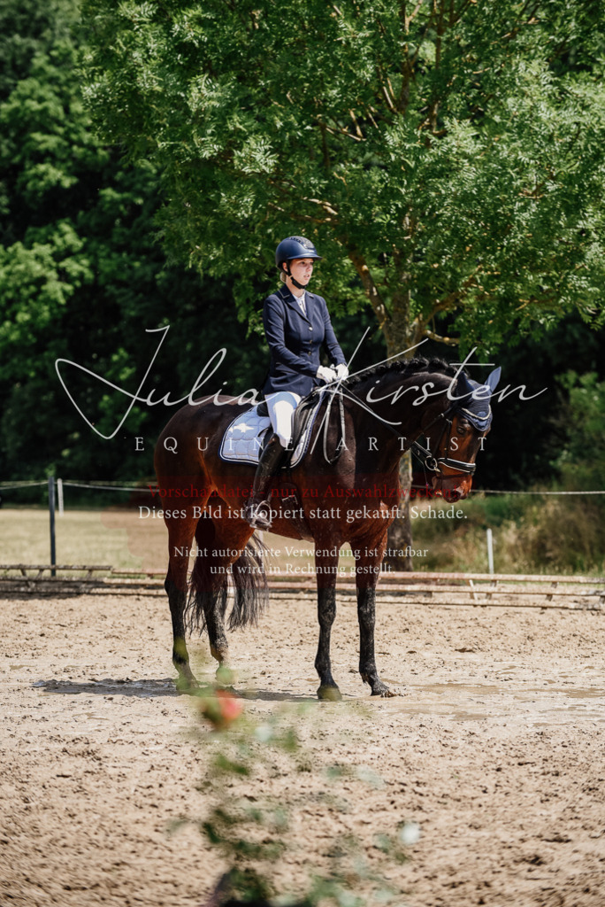 DSC_1520 | Pferde- und Turnierfotografie in Westsachsen. Pferdeportraits, Auftragszeichnungen und intuitive Kunst.
