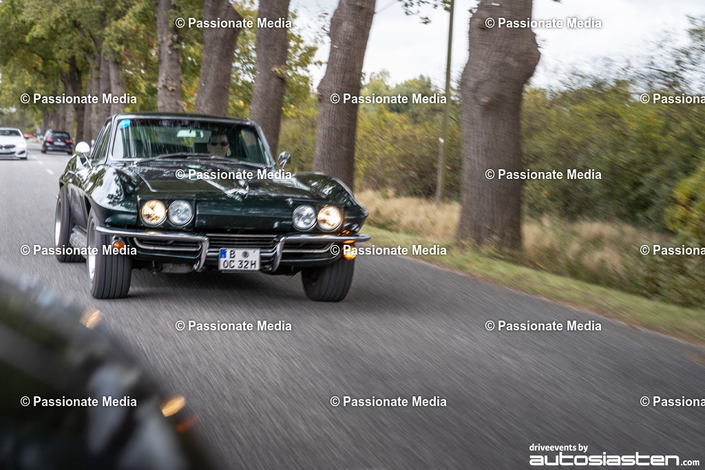 DSC05313 | Passionate Media, dein Fotograf aus Brandenburg, Märkisch Oderland, im Bereich Motorsport, Autos und Motorräder sowie Events und auch Hunde. Shootings oder auch Eventbegleitungen können bei mir gebucht we