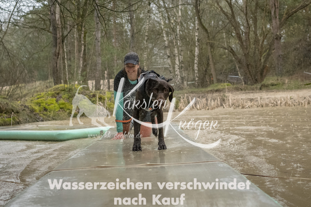 1048_ZZ93439-Bearbeitet | kk-dogfotos
