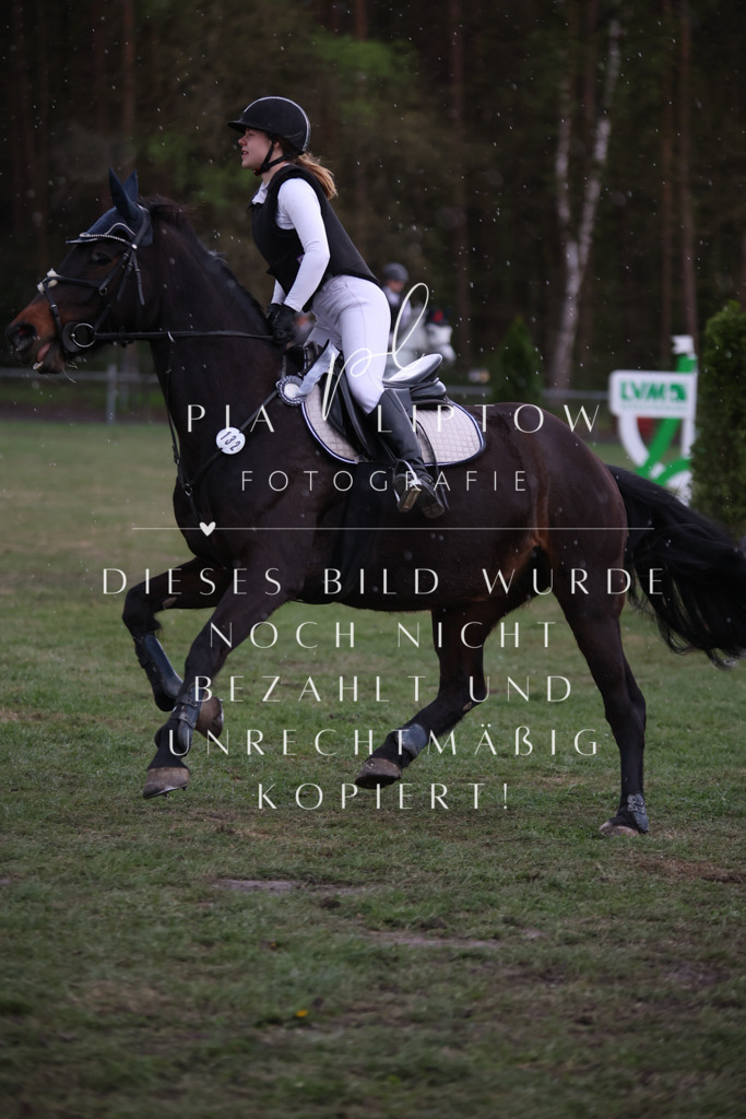 IMGT2166 | pl-fotografie