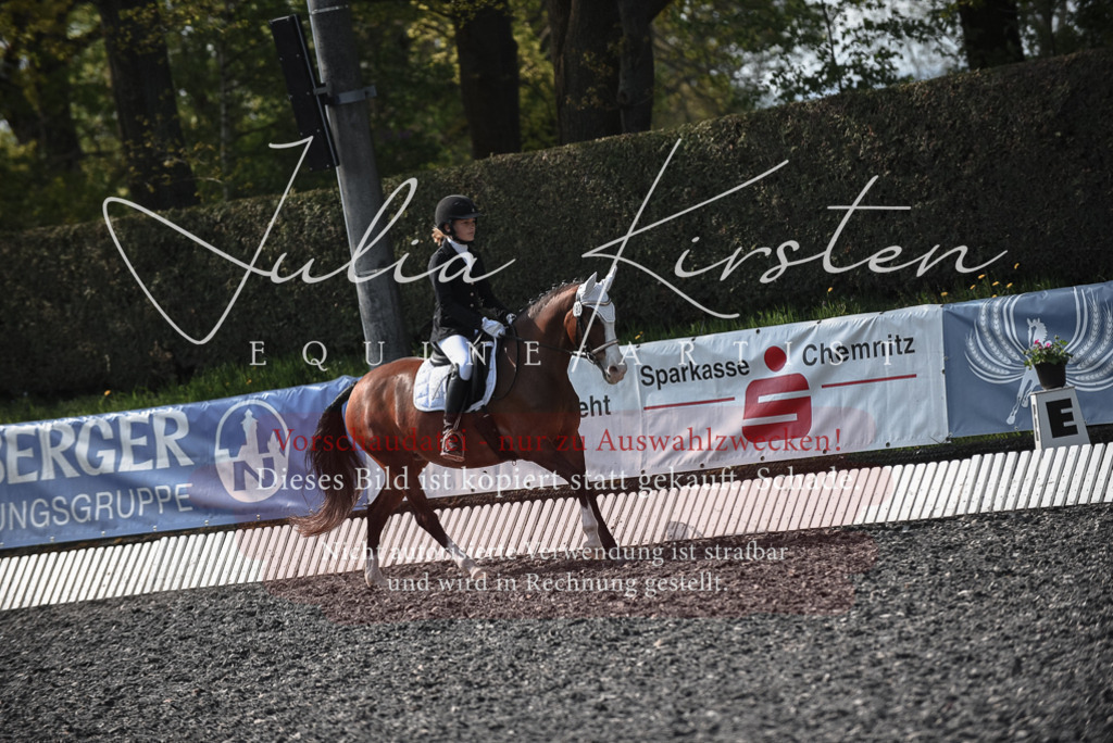 20230513_JK-Röhrsdorf-14-206 | Pferde- und Turnierfotografie in Westsachsen. Pferdeportraits, Auftragszeichnungen und intuitive Kunst.