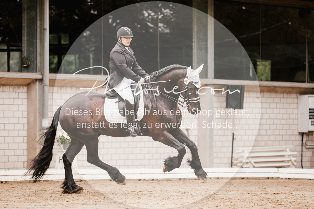 3I6A7766 | Stimmungsvolle Portraits und Reitsportfotografie im Ruhrgebiet und im Münsterland.

Pferdefotografie, Hundefotografie, Tierfotografie, Reportagen, Portraits von Tier und Mensch, Turnierfotografie in Bochum, Recklinghausen, Marl, Haltern am See, Dülmen.. - Realisiert mit Pictrs.com