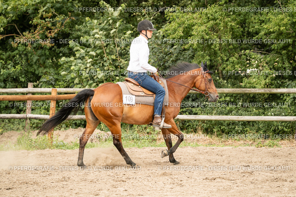 DSC00827 | Pferdegrafie