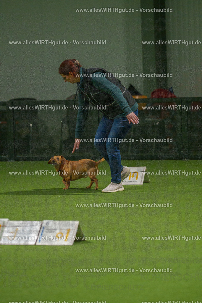 7R508627 | Professionelle Tierfotografie in Mönchengladbach von Daniel Wirth (allesWIRTHgut). Liebevolle & natürliche Bilder von Hunden & Katzen für unvergessliche Erinnerungen.