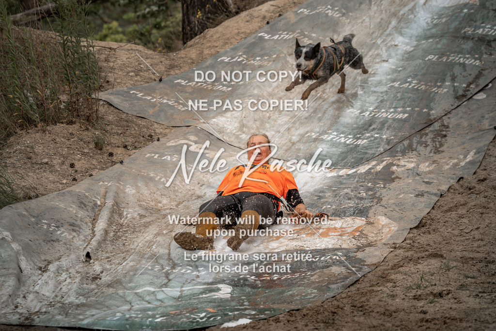 nelerasche_sa1345-1430_373 | nelerasche