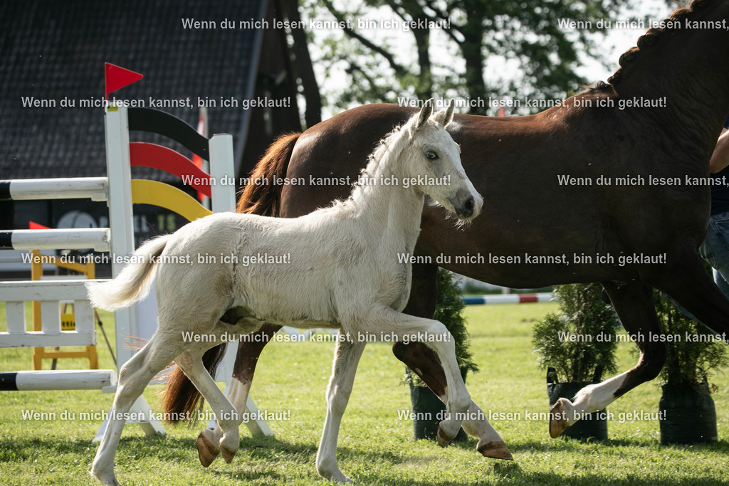 598A6886 | photographylinaismer - Realisiert mit Pictrs.com
