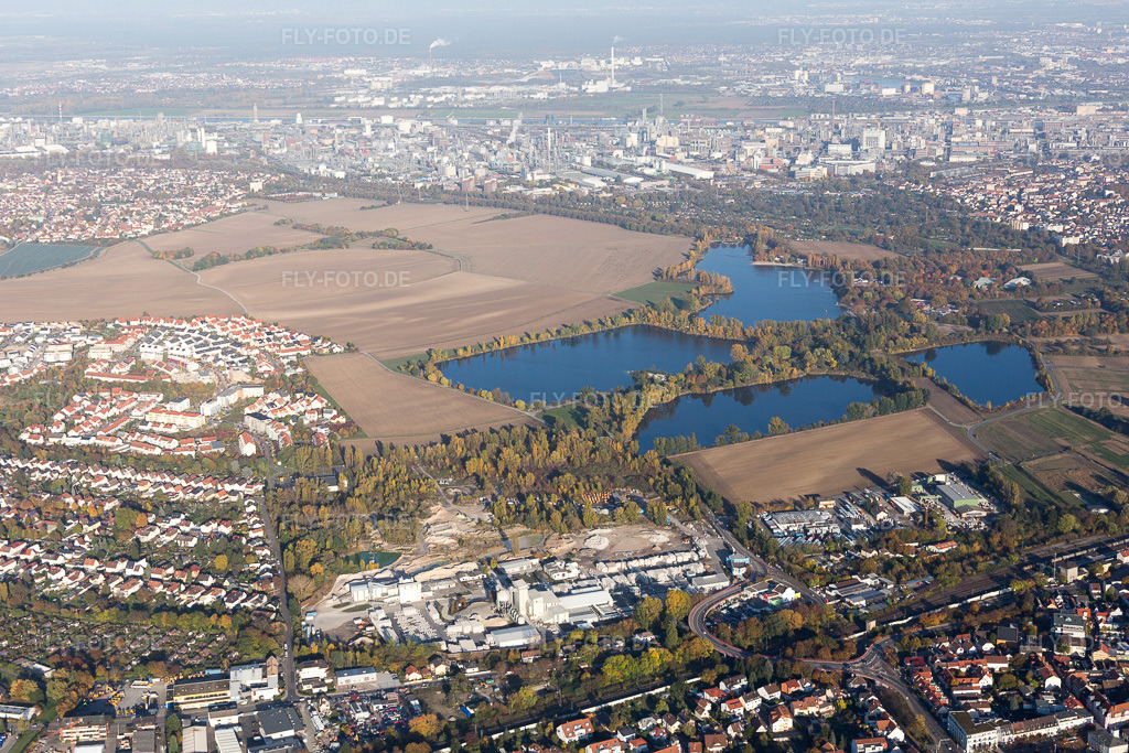 Luftbild: Willersinnweier im Ortsteil Oppau in Ludwigshafen im Bundesland Rheinland-Pfalz in Deutschland. Foto: IMG_095554.jpg vom 30.10.2016 durch Werner Riehm/FLY-FOTO.de