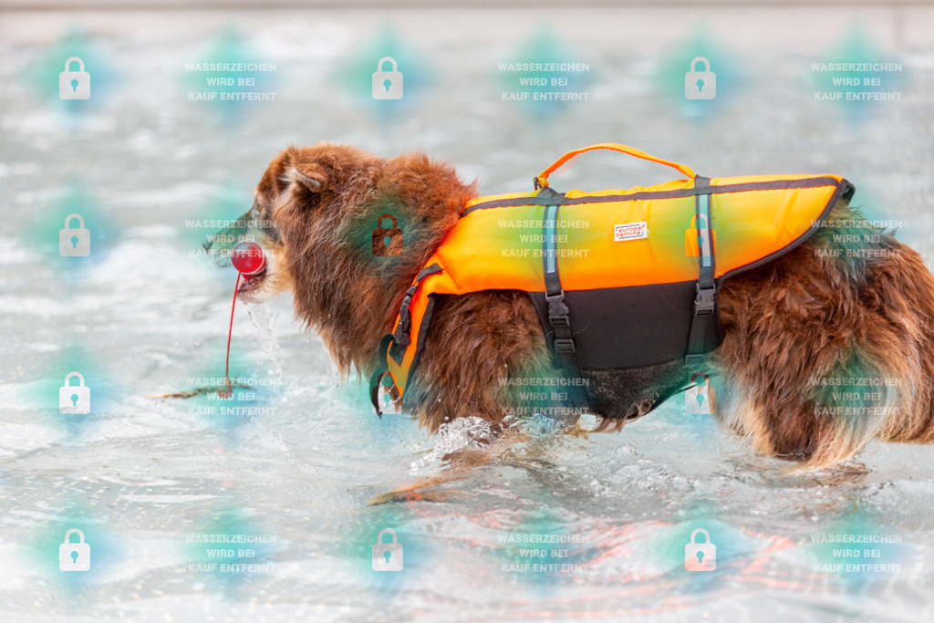 _HP_6220_1000o | HetPix, HetPix Fotodesign, Fotografie, Fotodesign, Webshop, Sportfotografie, Portraitfotografie, Onlineshop, Sportfotografie, Polch, Motorsportfotografie, Eventfotografie