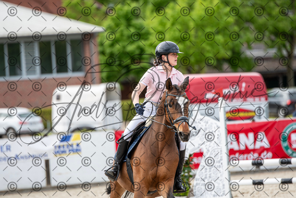 KPT_7211 | andre_photographic