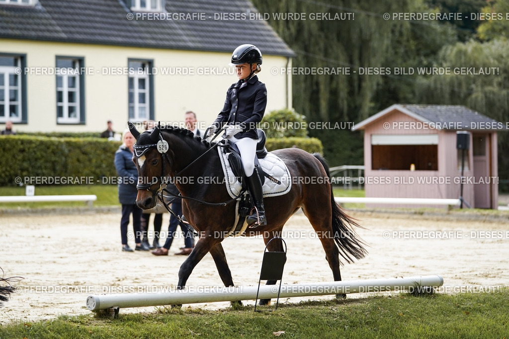 DSC05258 | Pferdegrafie