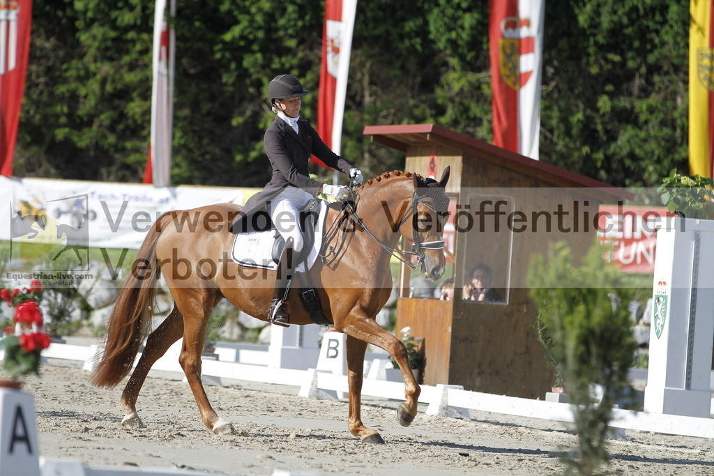_MG_3273 | equestrian-live-com
