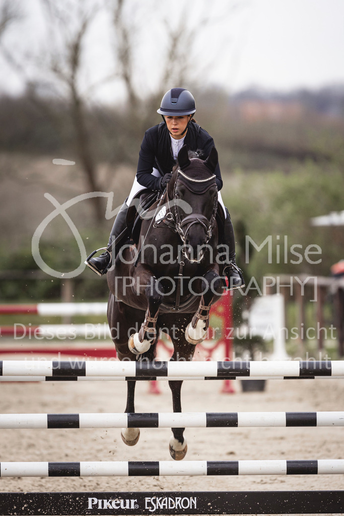 240327_Fruehlingsfest_Stil-L-2-409 | Deine schönsten Turniermomente als professionelle Fotos! Entdecke hochwertige Pferdesport-Fotografie im Online-Shop. Jetzt Fotos finden & bestellen!