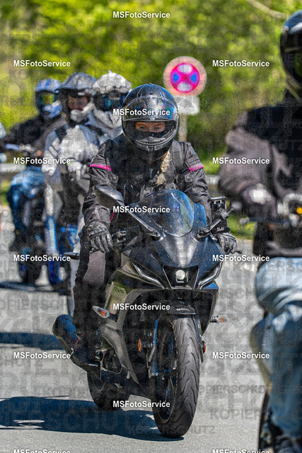 MSFotoServiceXXX190 | MSFotoService - Realisiert mit Pictrs.com