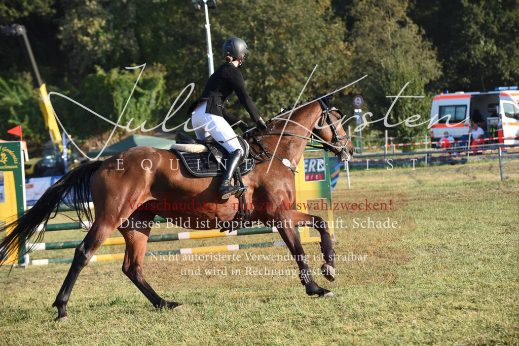 DSC_4840 | Pferde- und Turnierfotografie in Westsachsen. Pferdeportraits, Auftragszeichnungen und intuitive Kunst.