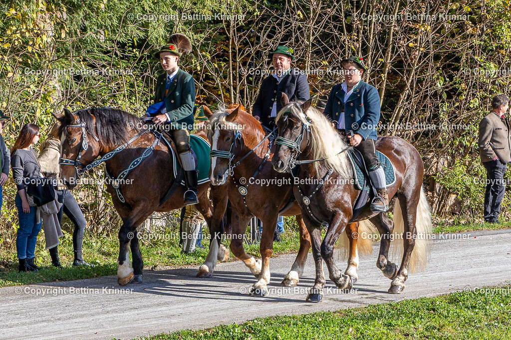 LBT24-568 | foto-bettina-krinner - Realisiert mit Pictrs.com