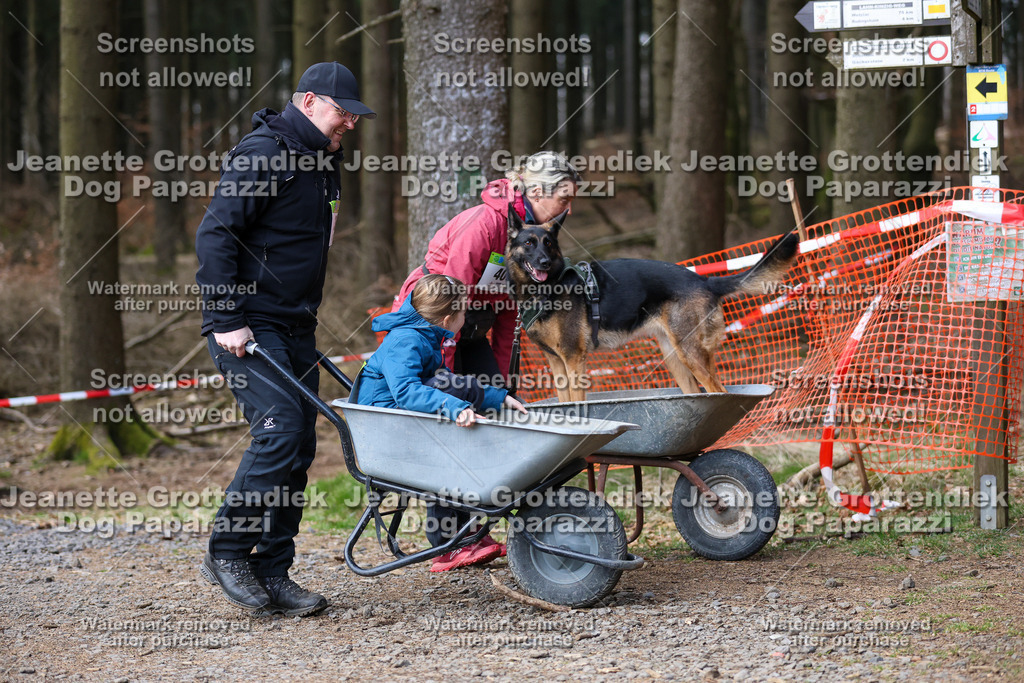Dog Paparazzi - VCC26-770 | Dog Paparazzi Jeanette Grottendiek Fotografie & Videografie - Realisiert mit Pictrs.com