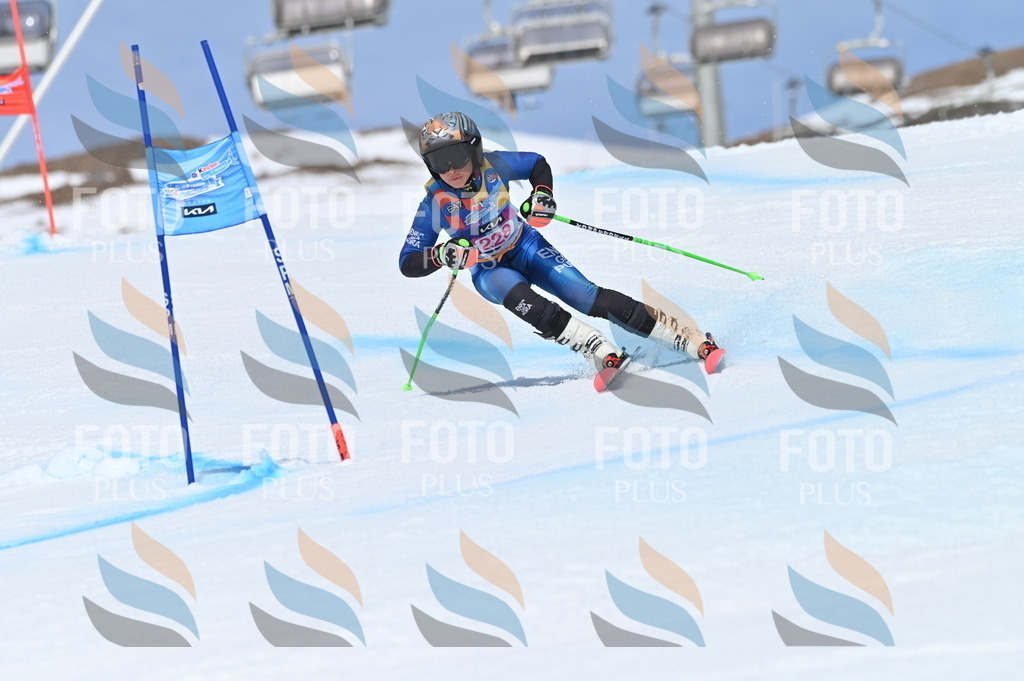 BGV_1463 | holidayphoto