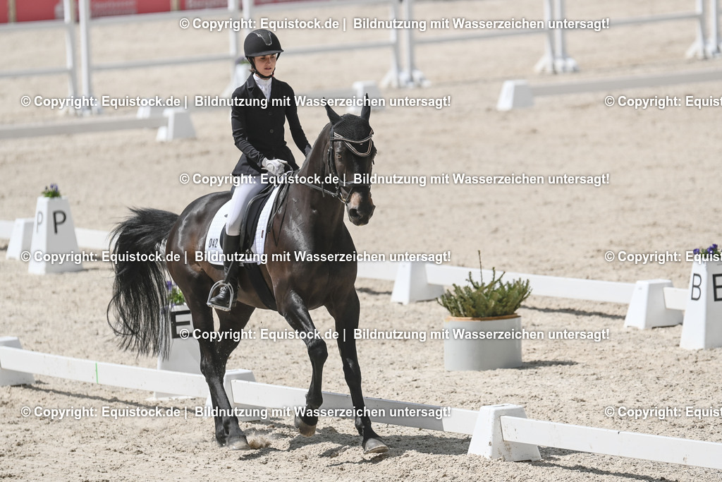 20250516_CCI2_Dressur_0201 | Foto: Thomas Hartig