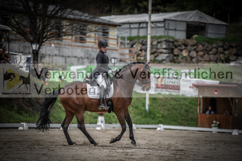 DSC_2466 | equestrian-live-com