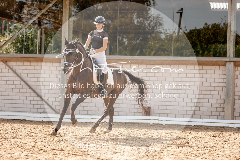 3I6A3997 | Stimmungsvolle Portraits und Reitsportfotografie im Ruhrgebiet und im Münsterland.

Pferdefotografie, Hundefotografie, Tierfotografie, Reportagen, Portraits von Tier und Mensch, Turnierfotografie in Bochum, Recklinghausen, Marl, Haltern am See, Dülmen.. - Realisiert mit Pictrs.com