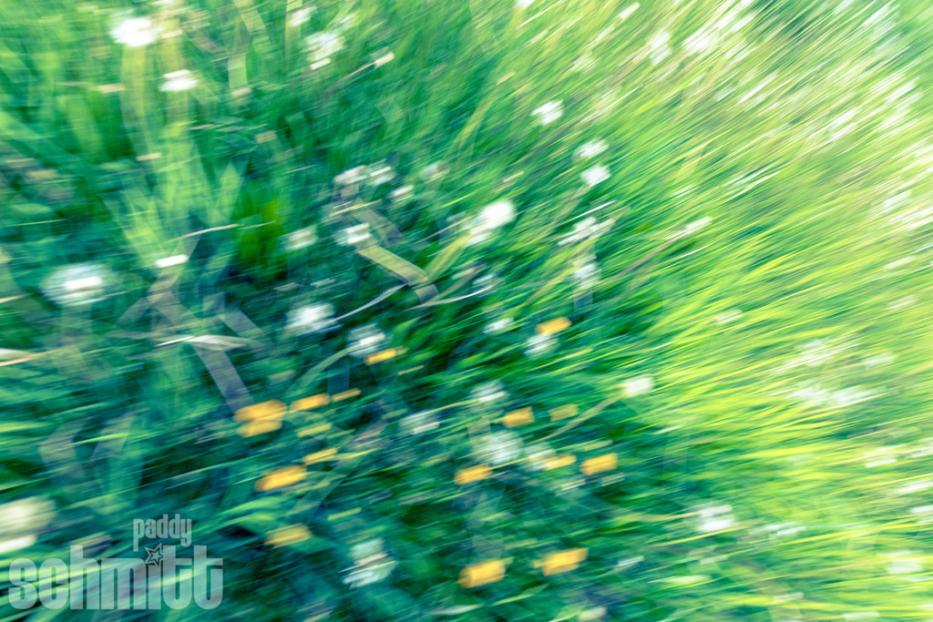 PS-Blur-2026-11 | Entdecke die größte Bildgalerie der Region mit Fotografien aus dem Allgäu, der Bodenseeregion, Oberschwaben, dem Donautal und der Schwäbischen Alb. Landschaften, Luftaufnahmen und Reisefotografie als Wandbild und Fotokunst. - Realisiert mit Pictrs.com